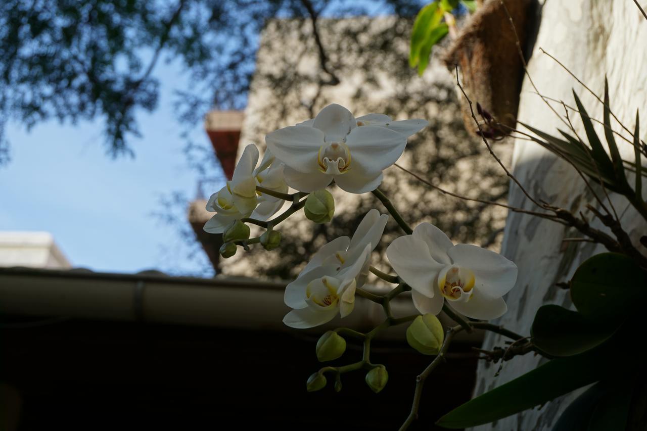 Pouso Da Garca Bed and Breakfast Cabo Frio Buitenkant foto