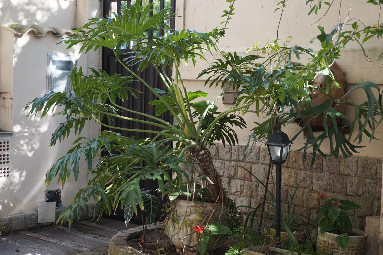 Pouso Da Garca Bed and Breakfast Cabo Frio Buitenkant foto